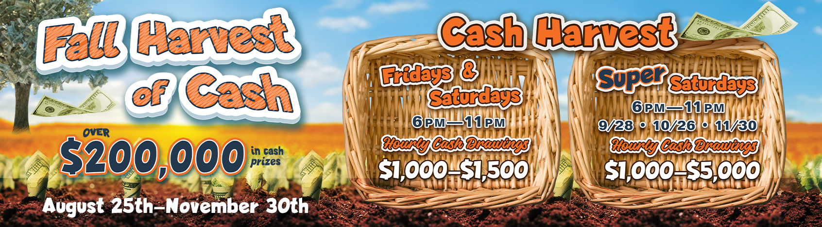 Fall Harvest of Cash August 25th through November 30th