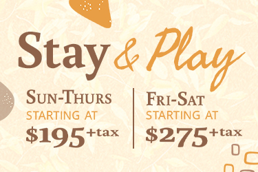 The Lodge Stay & Play Offer